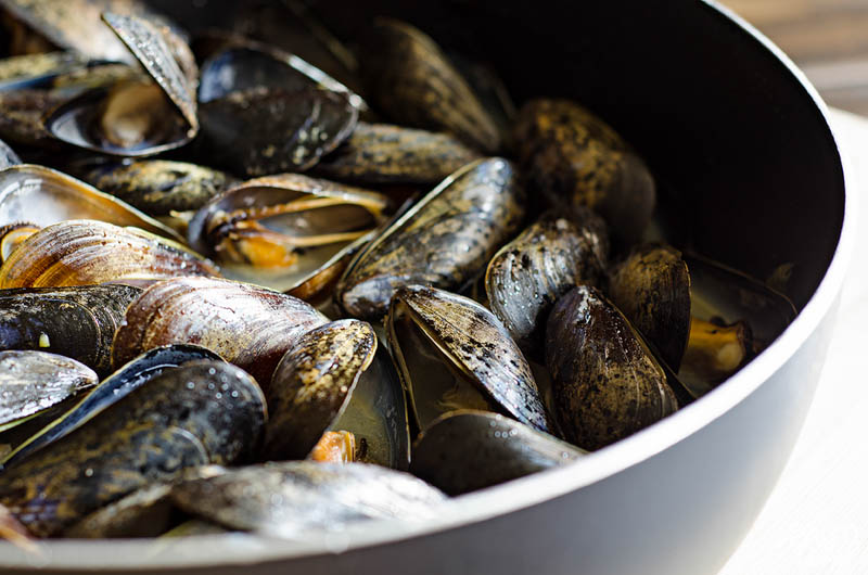 Fresh mussels Fresh mussels