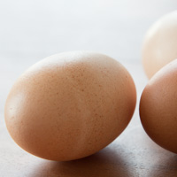 An Egg Yolk a Day Keeps the Doctor Away | Paleo Leap