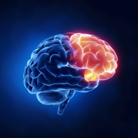 brain-paleo