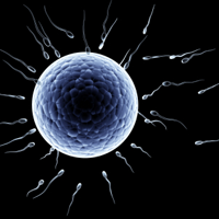 paleo-fertility