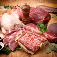 paleo-protein