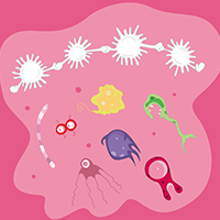 immune-system