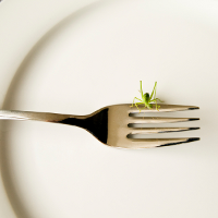bug-on-fork