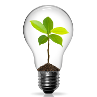 fresh ideas