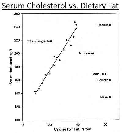 Correlation between saturated fat and serum cholesterol