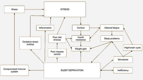 Sleep-stress cycle