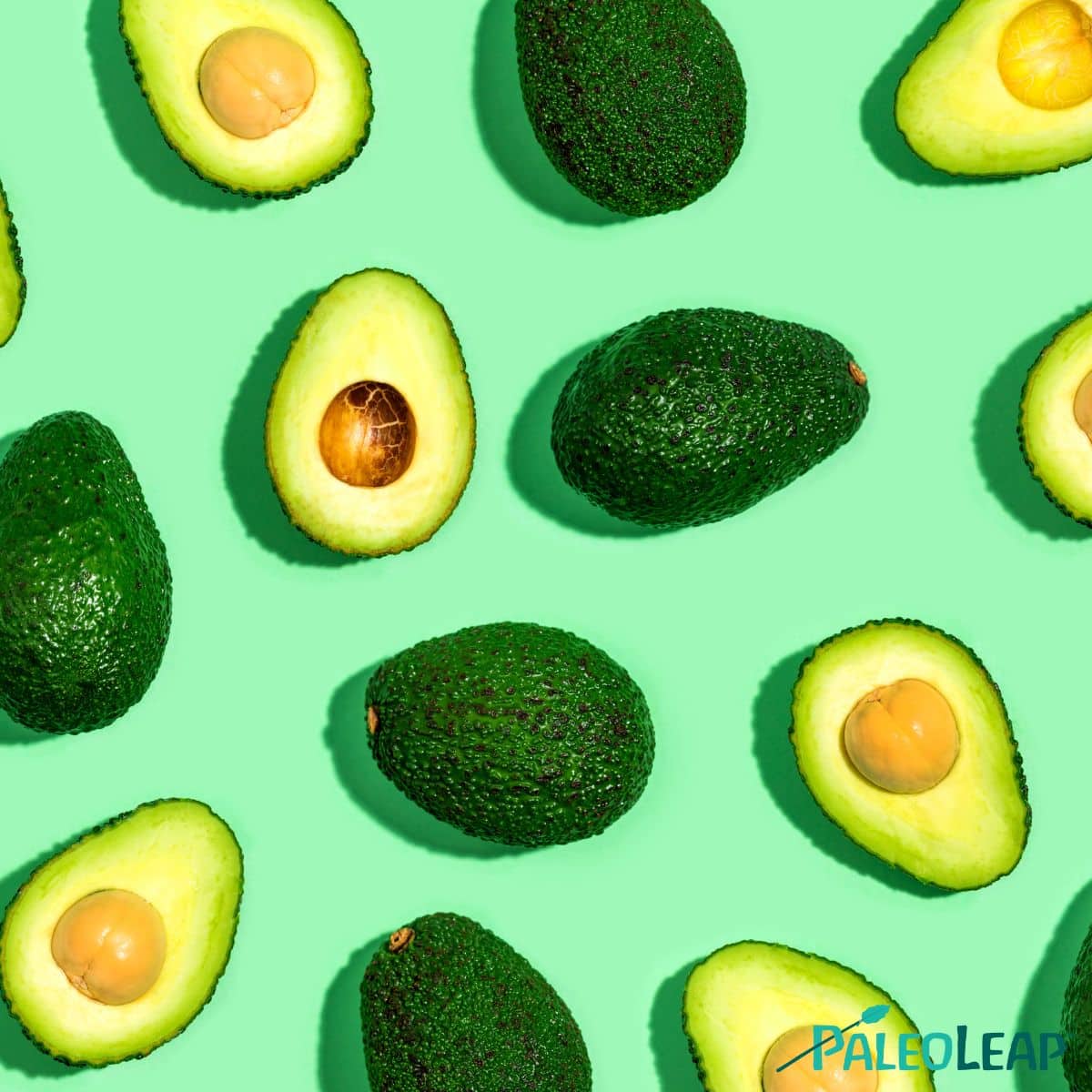 avocado illustration