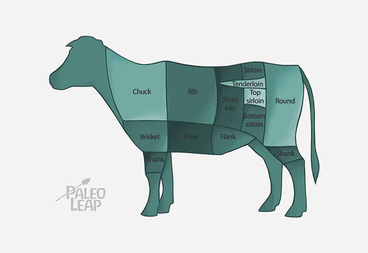 The Importance of Grass-fed Beef | Paleo Leap