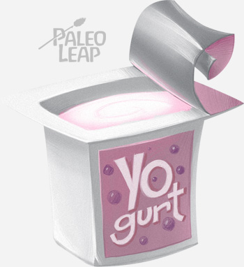 Homemade Yogurt | Paleo Leap