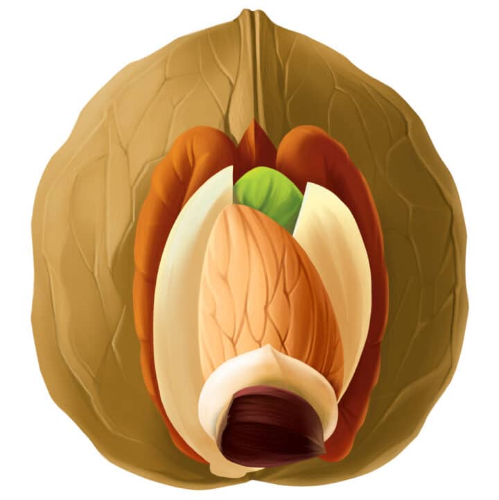 Are Nuts And Seeds Healthy? Paleo Leap