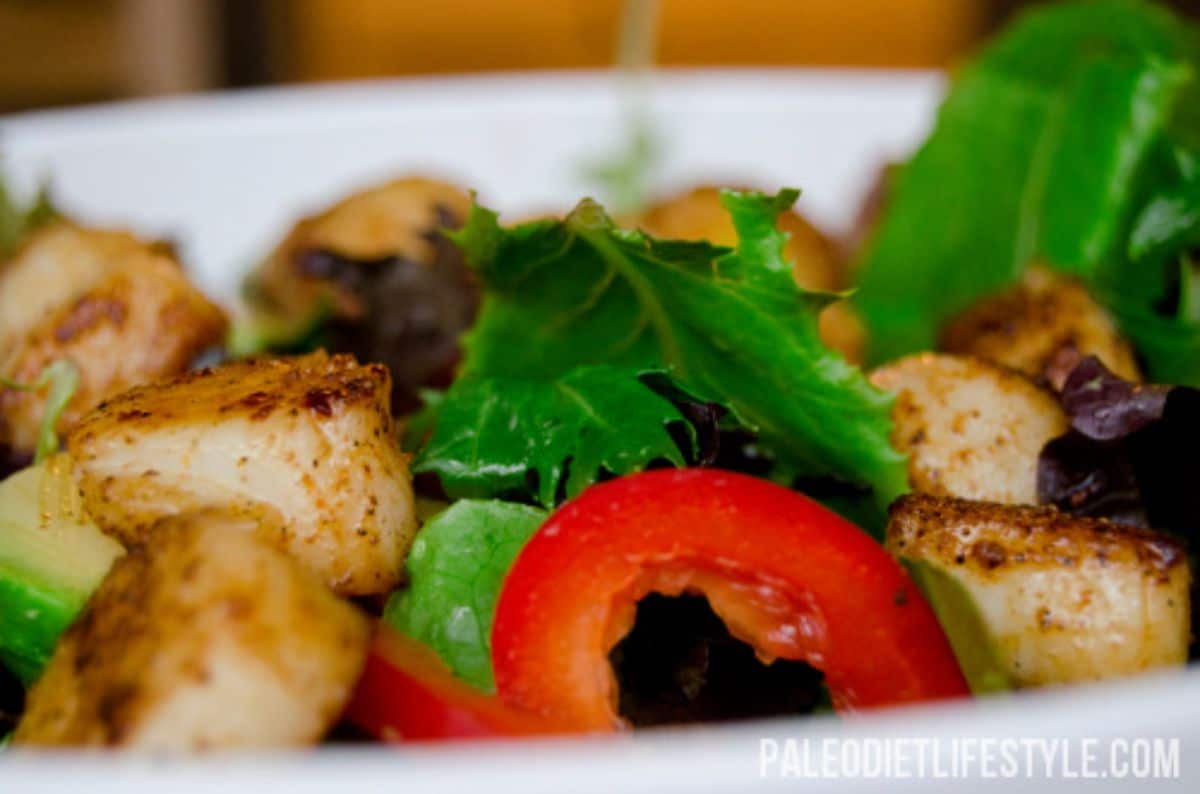 Spicy scallop salad