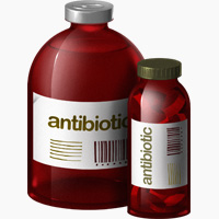 Paleo and antibiotics