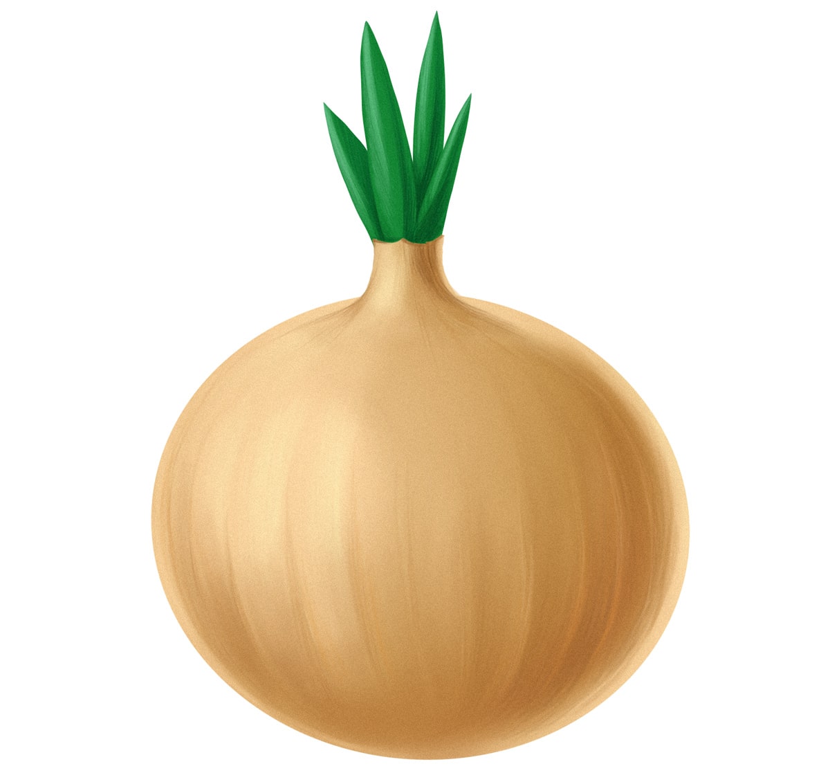 paleo onion