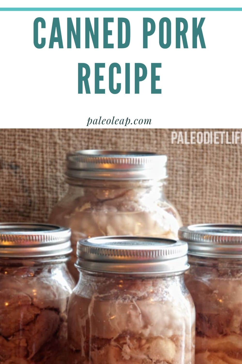 Canned Pork Recipe Paleo Leap