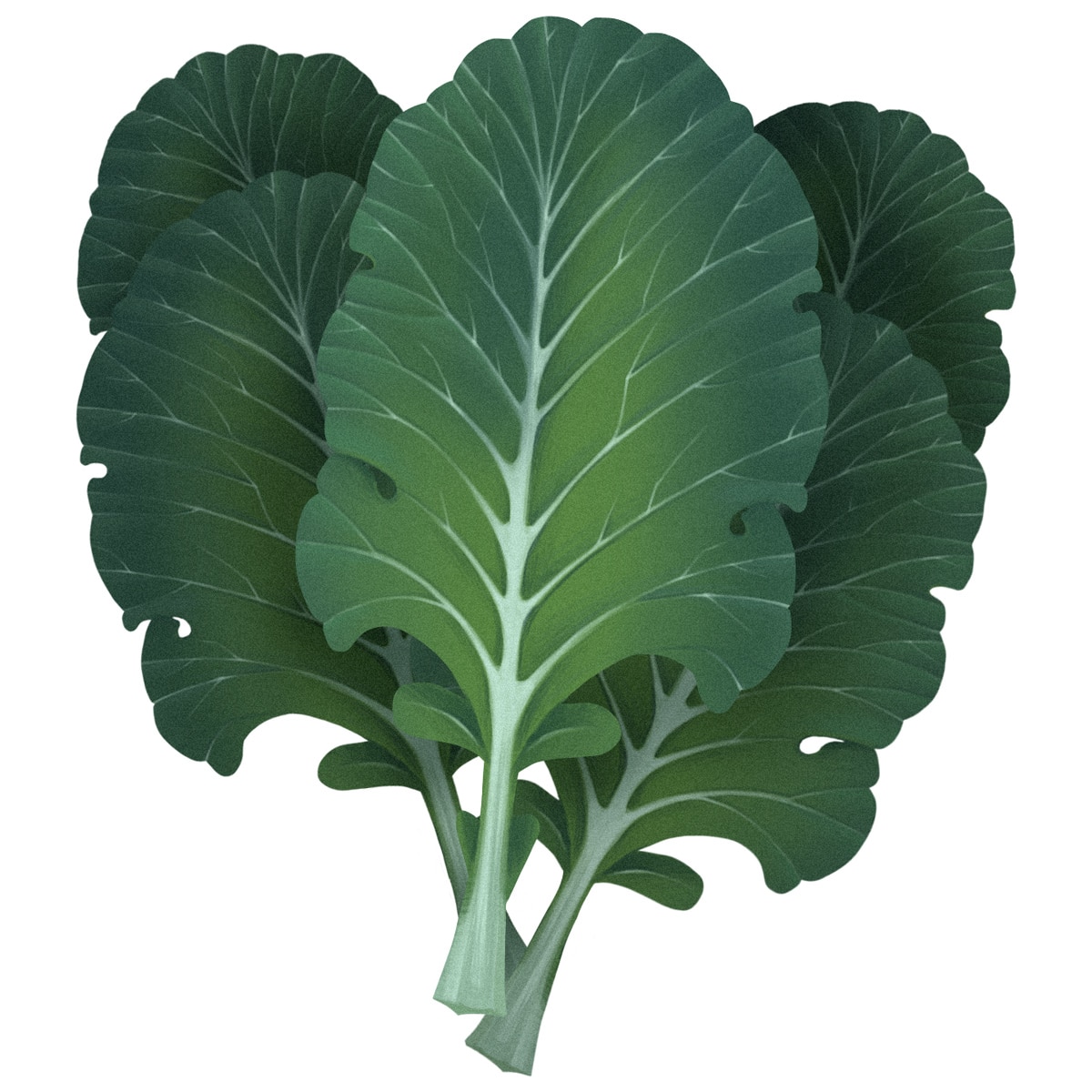 CollardGreens Paleo