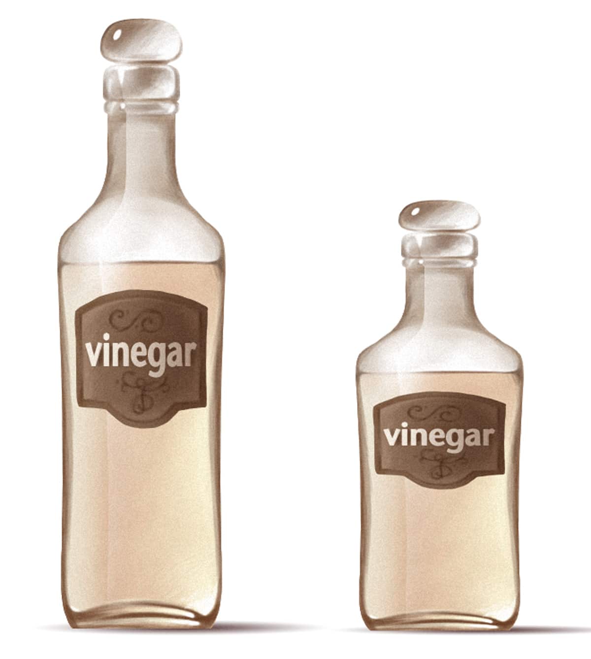 Vinegar Paleo