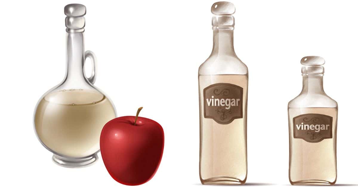 https://paleoleap.com/wp-content/uploads/2013/06/vinegar-facebook.jpg