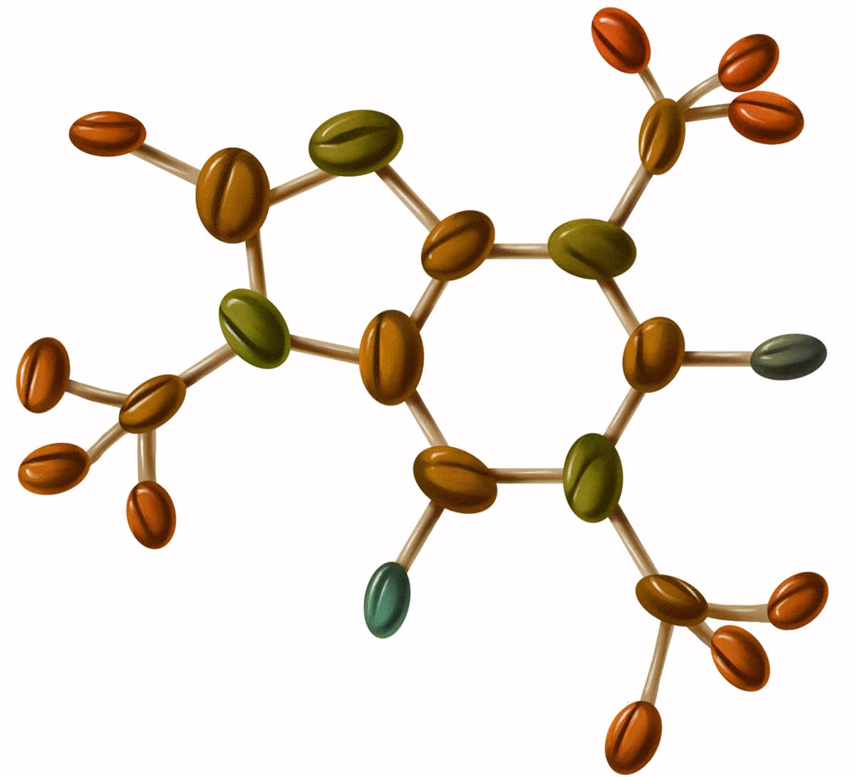 caffeine molecule main