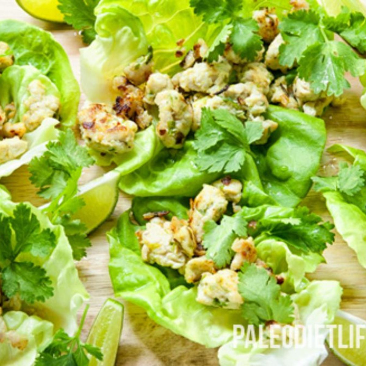 Thai Larb Featured