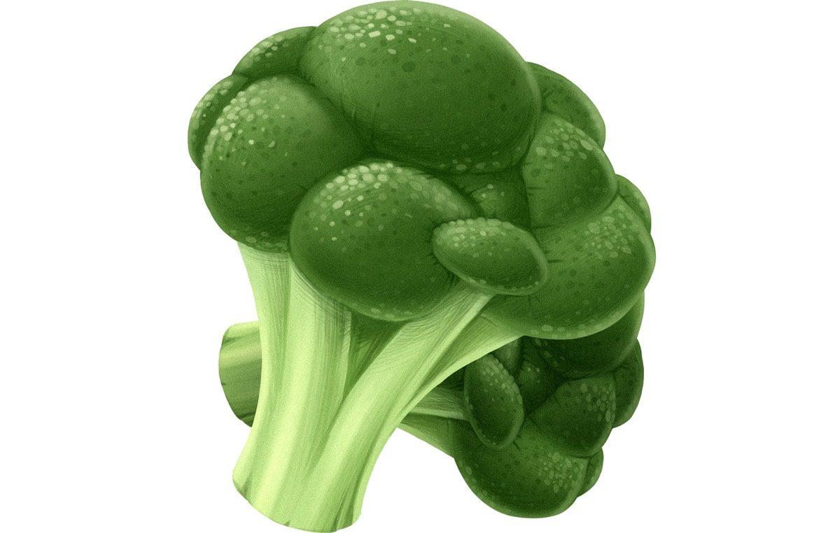 Broccoli Paleo