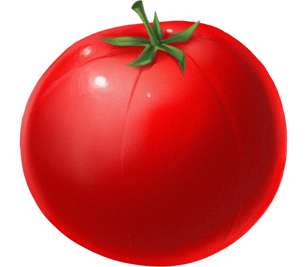 Tomato