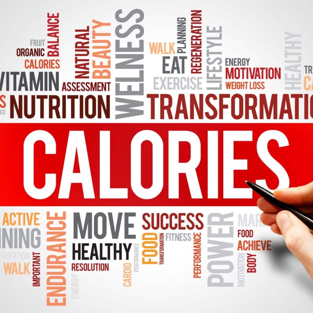 all-about-calories-part-1-do-calories-count-paleo-leap