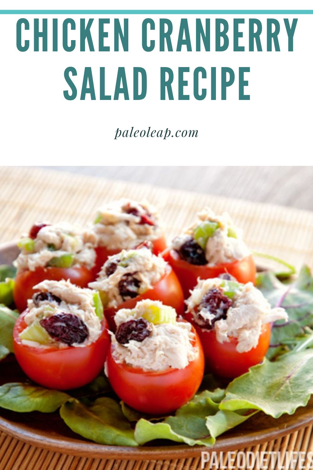Chicken Cranberry Salad Recipe | Paleo Leap