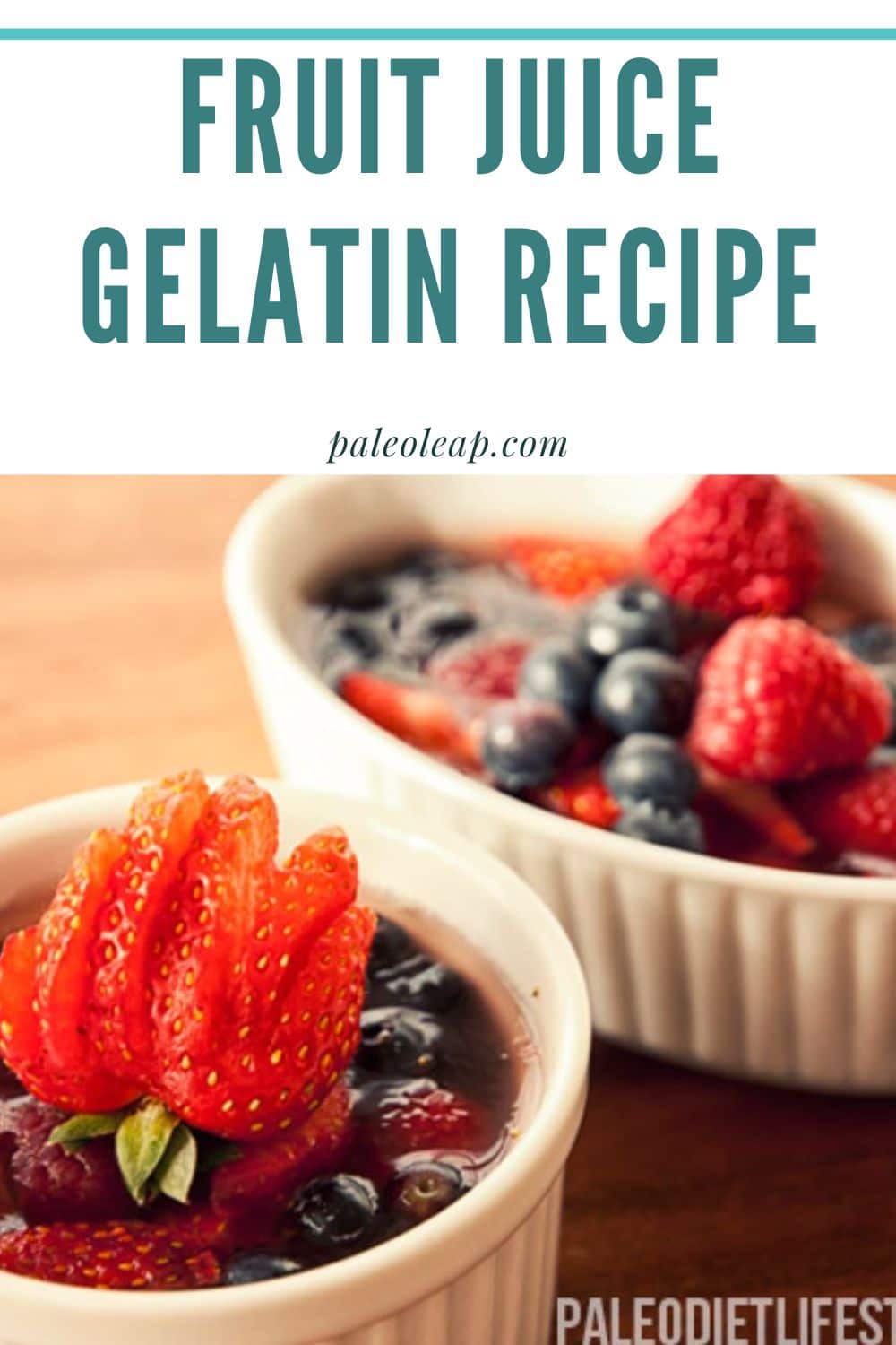 Fruit Juice Gelatin Recipe Paleo Leap