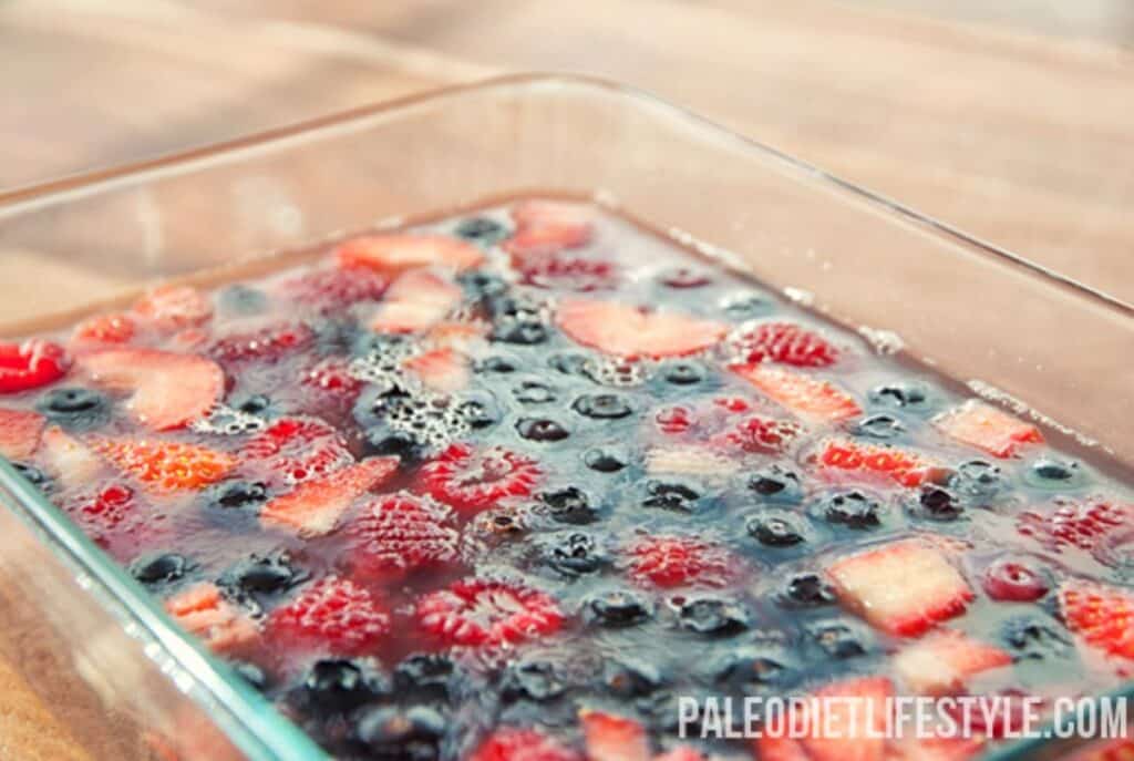 Fruit Juice Gelatin Recipe Paleo Leap