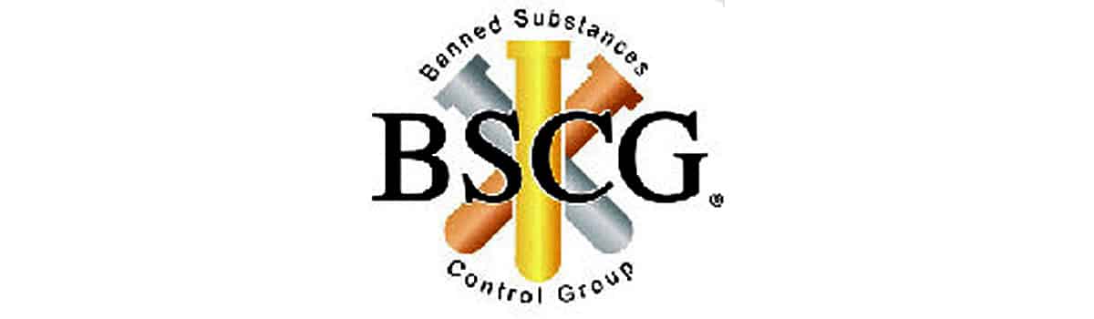 BSCG Logo