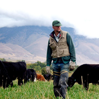 Glenn Elzinga - Alderspring Ranch
