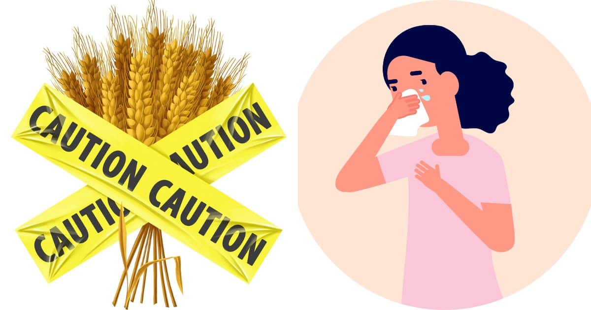 all-about-the-low-carb-flu-paleo-leap
