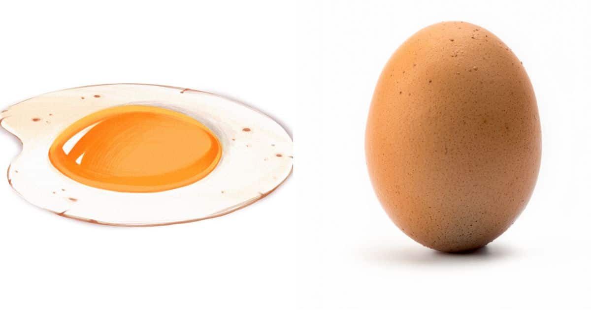 What if I Can’t Have Eggs? | Paleo Leap