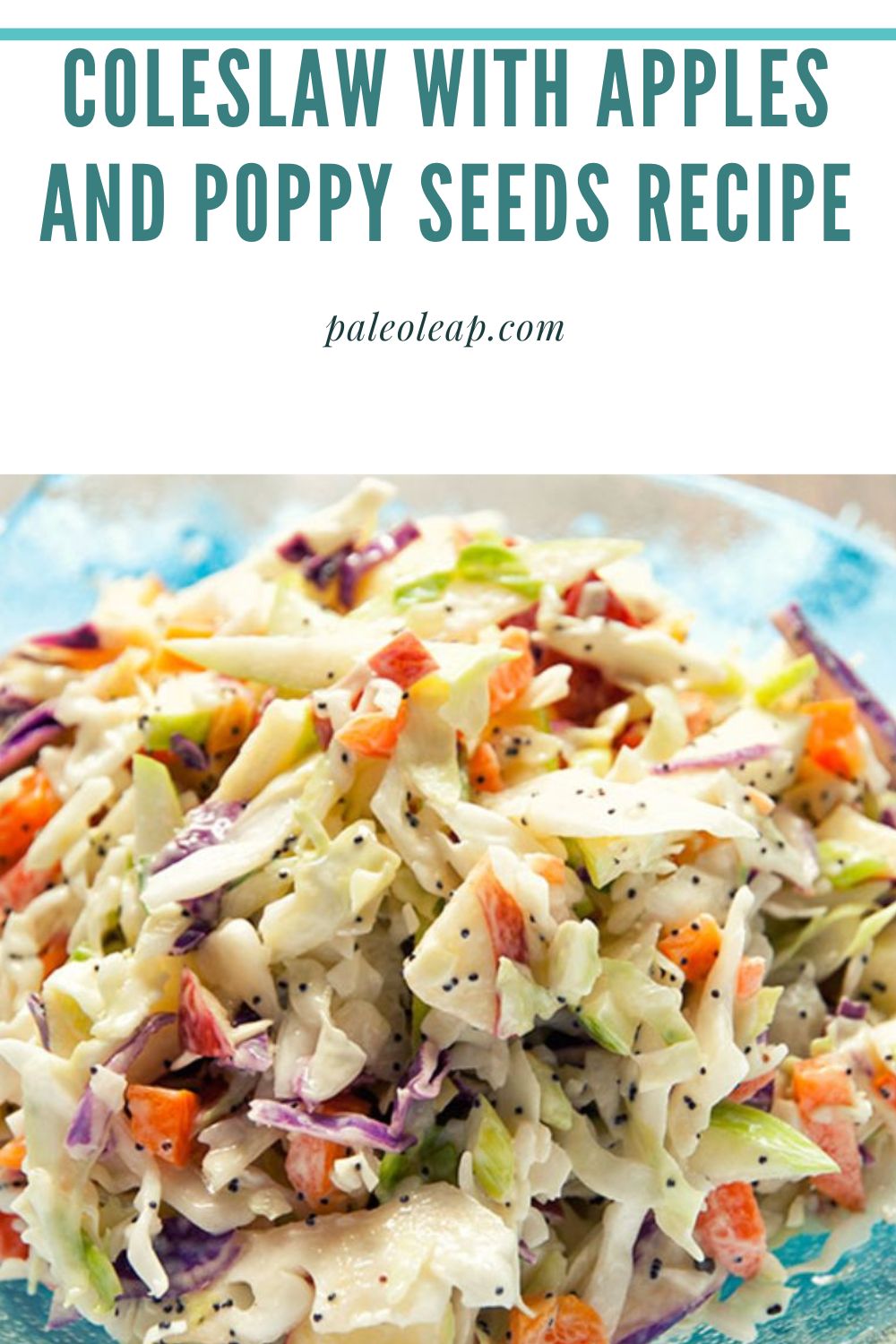 Coleslaw With Apples and Poppy Seeds Recipe Paleo Leap