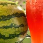 Watermelon Sport Drink Recipe