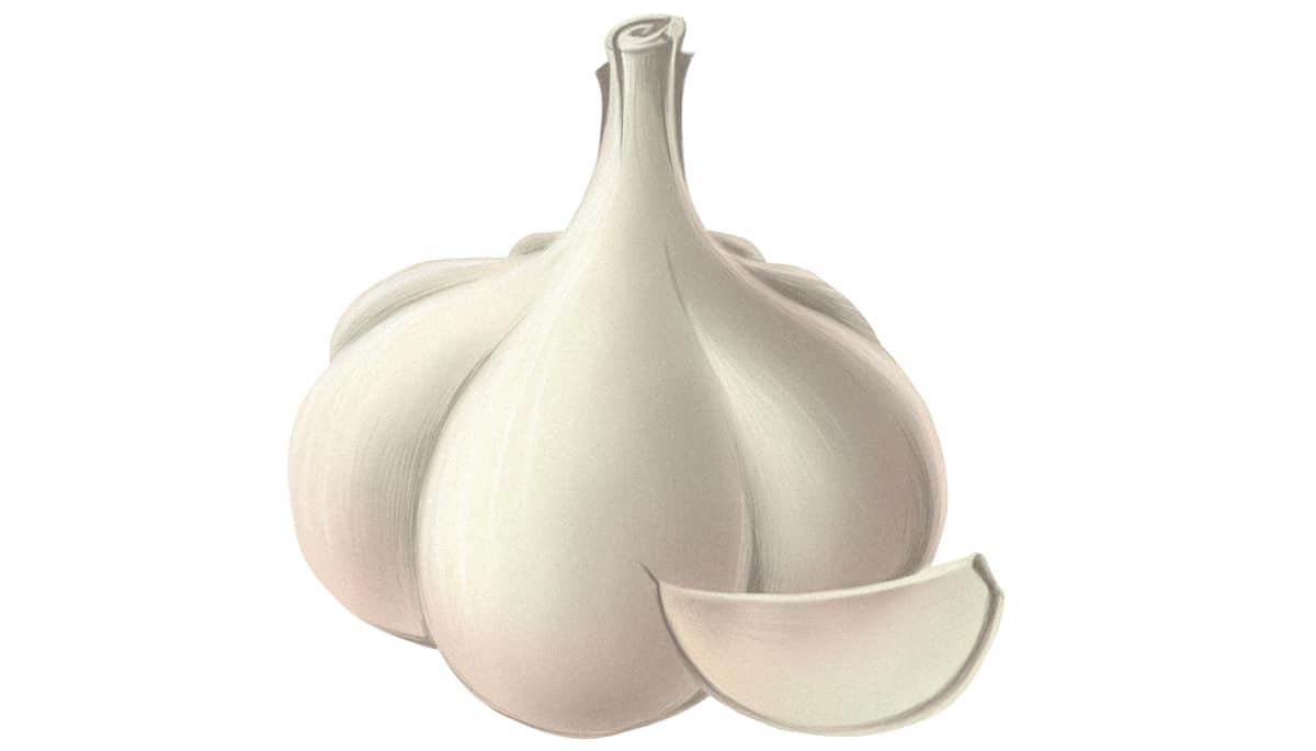 paleo garlic