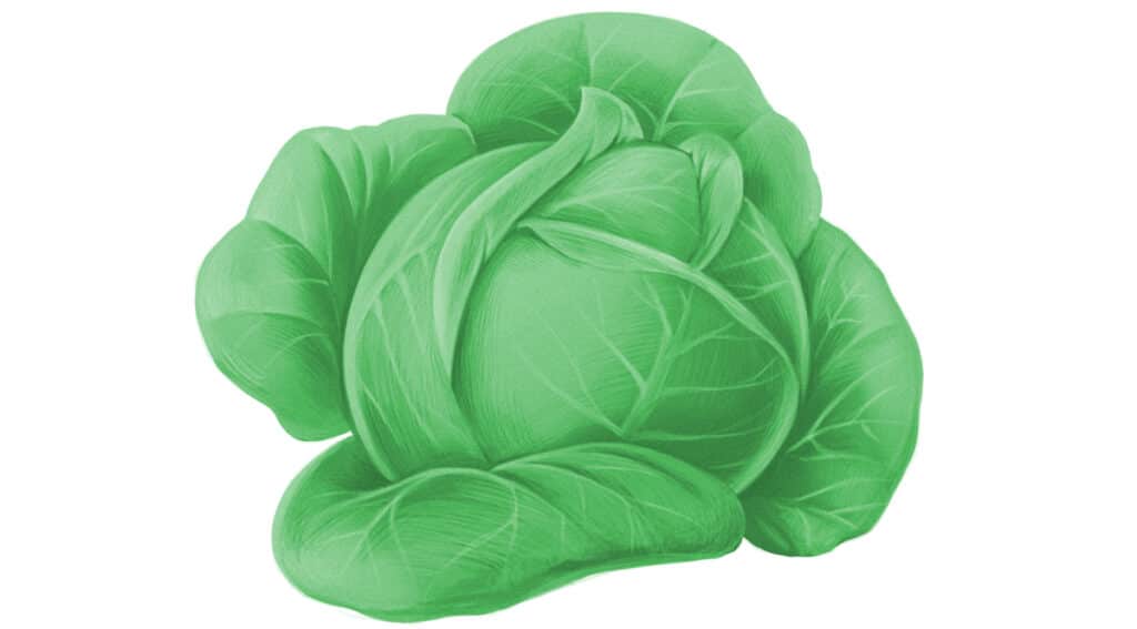 Paleo Troubleshooting Diet and Diarrhea Paleo Leap