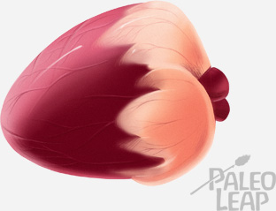 Nutritious beef heart