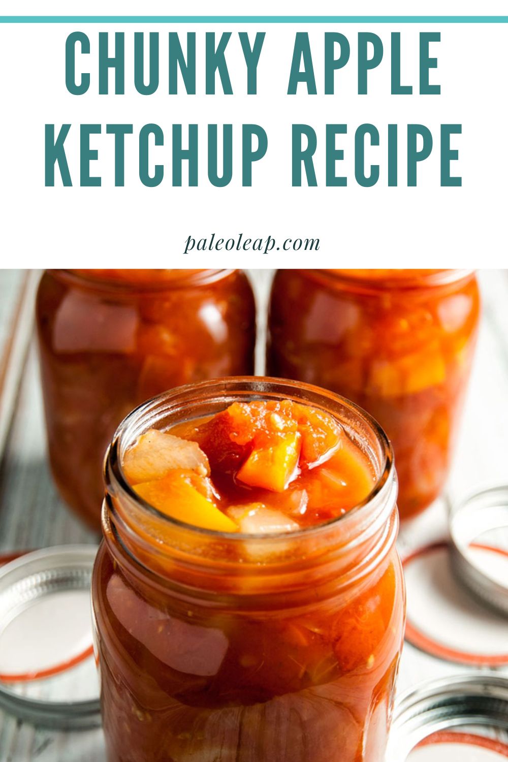 Chunky Apple Ketchup Recipe Paleo Leap
