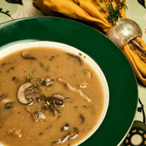 Wild Mushroom Soup Recipe