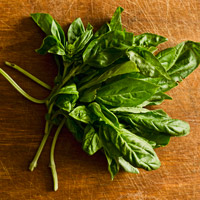 Fresh herbs