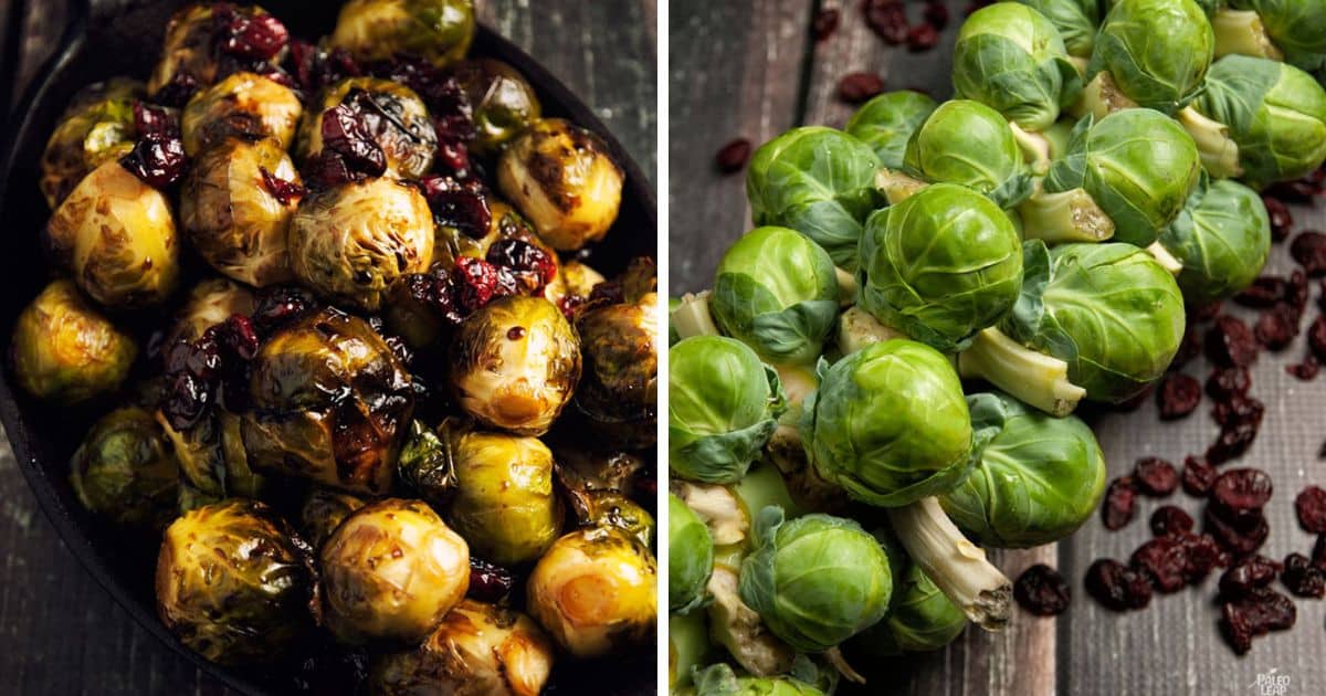 Brussels Sprouts With Balsamic and Cranberries Recipe Paleo Leap