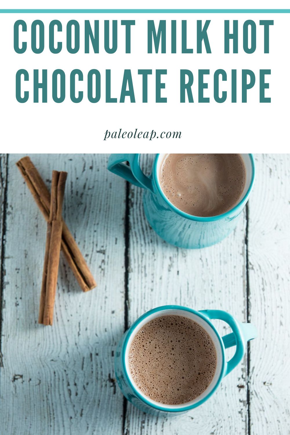 Coconut Milk Hot Chocolate Recipe Paleo Leap