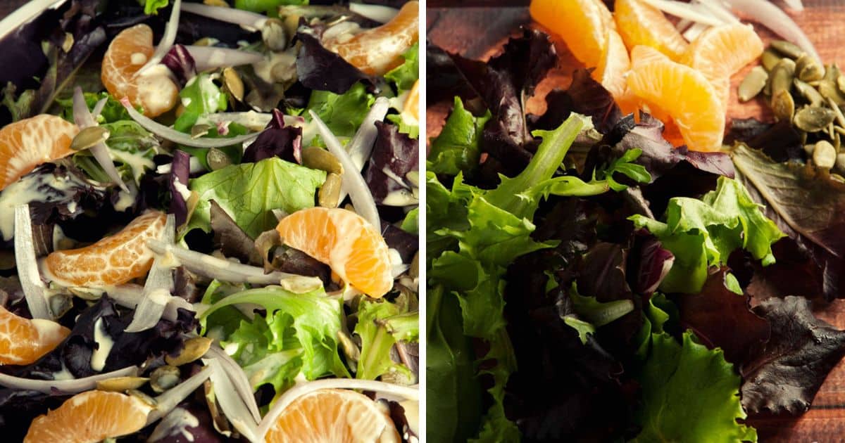 Green Salad With Clementine Dressing Recipe Paleo Leap