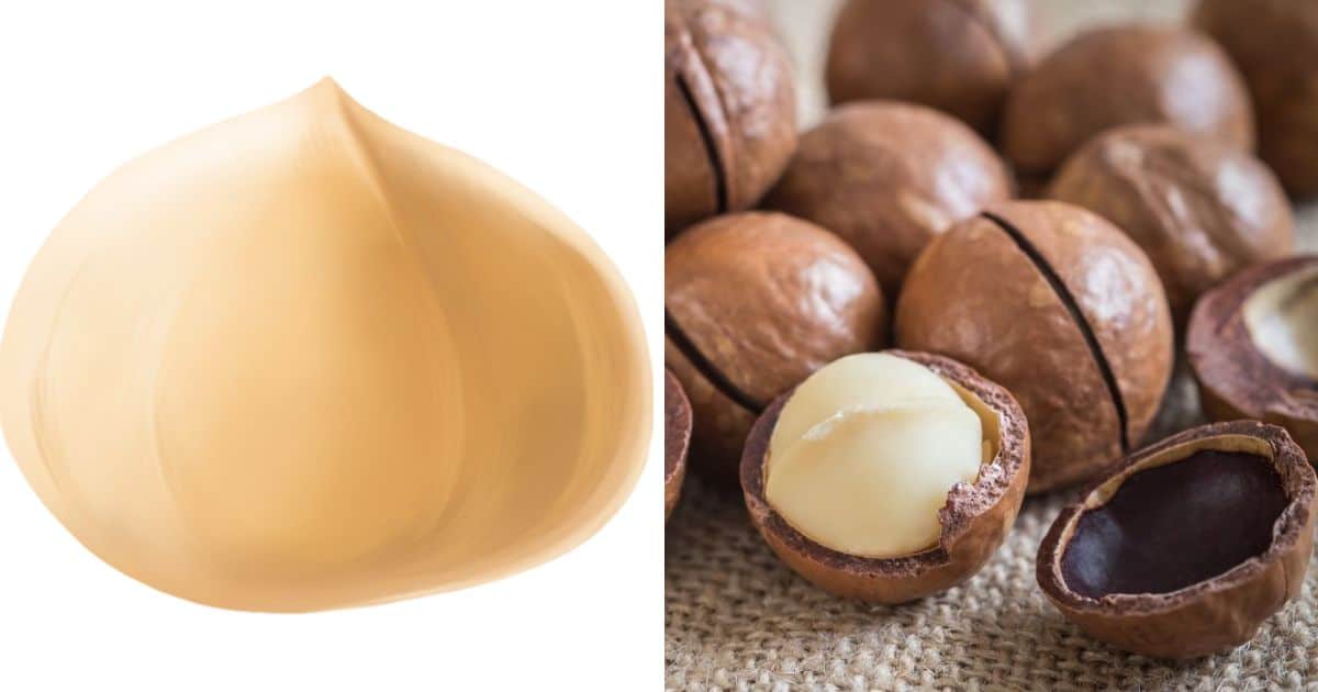 Paleo Foods Macadamia Nuts Paleo Leap