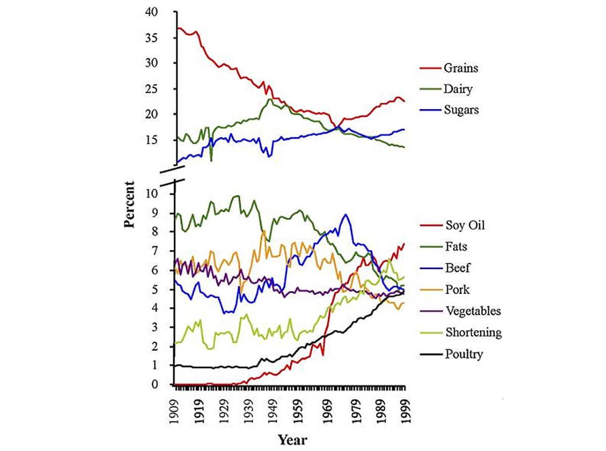 calories graph