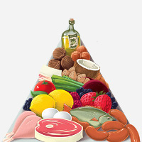 Paleo food pyramid