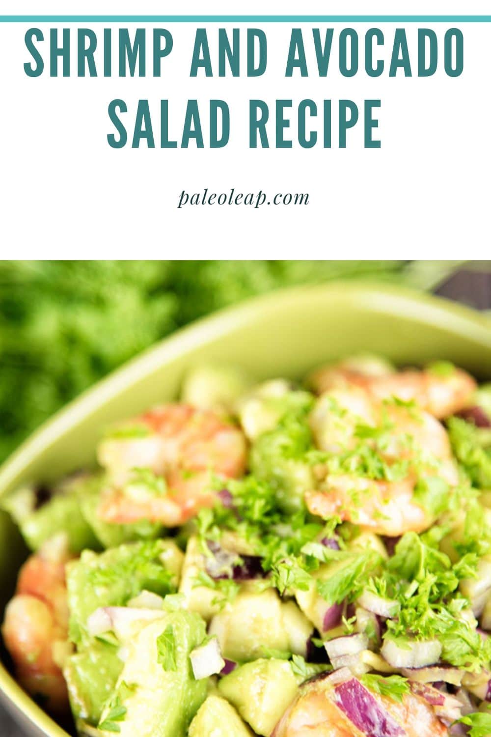 Shrimp And Avocado Salad Recipe | Paleo Leap