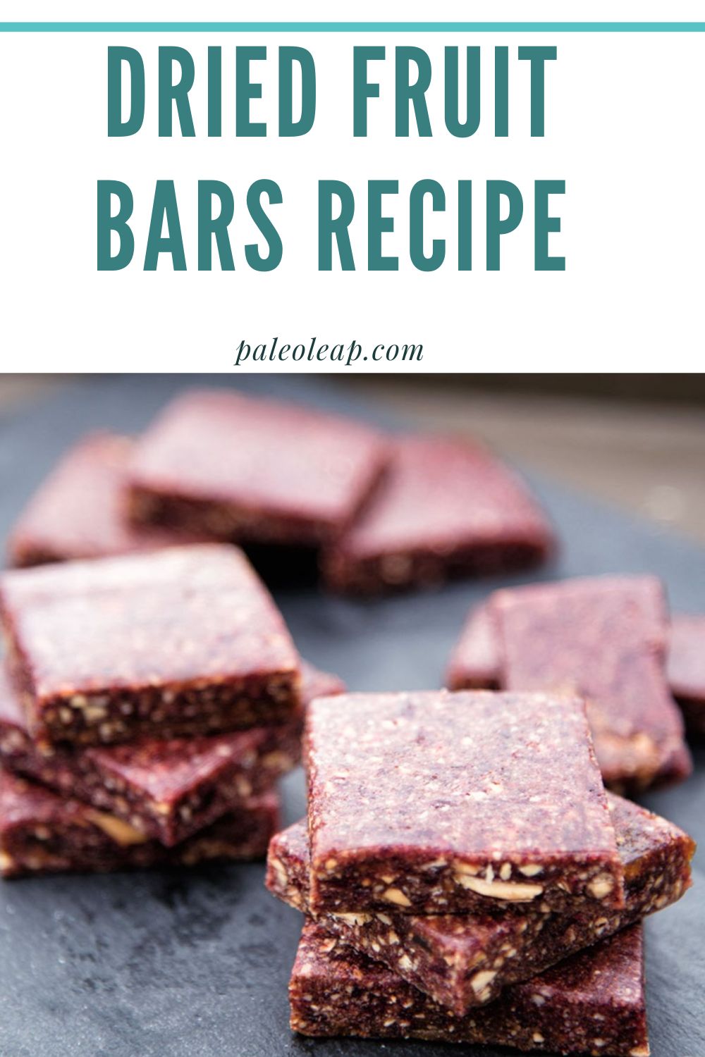 Dried Fruit Bars Recipe Paleo Leap