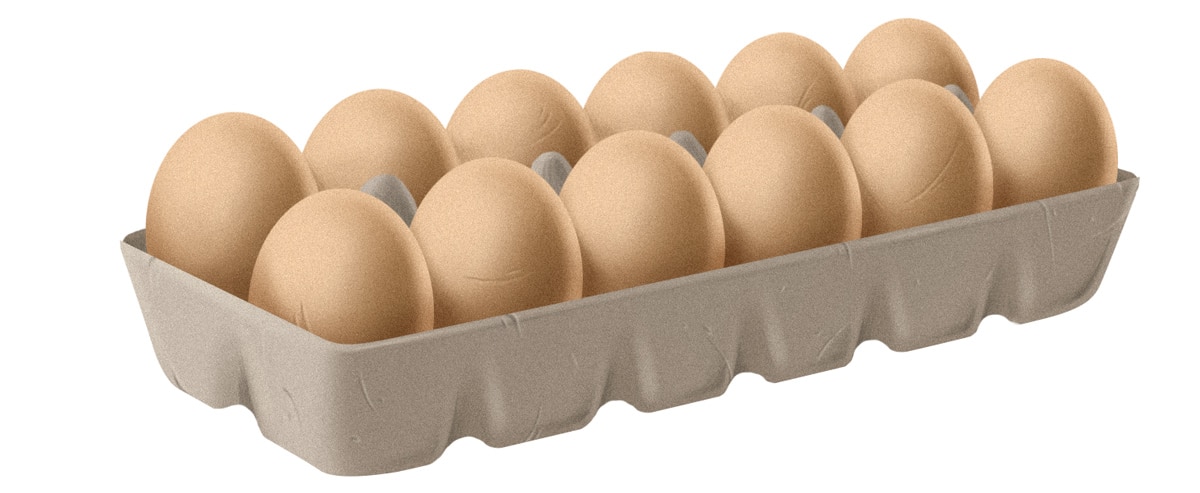 paleo 12eggs